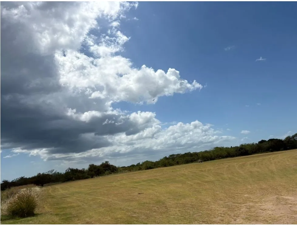 COCLE / RIO HATO / 110 HECTARES / ON MAIN ROAD / COMMERCIAL USE / AGRICULTURAL