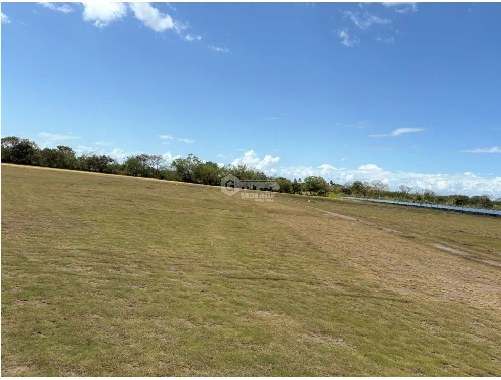 COCLE / RIO HATO / 110 HECTARES / ON MAIN ROAD / COMMERCIAL USE / AGRICULTURAL