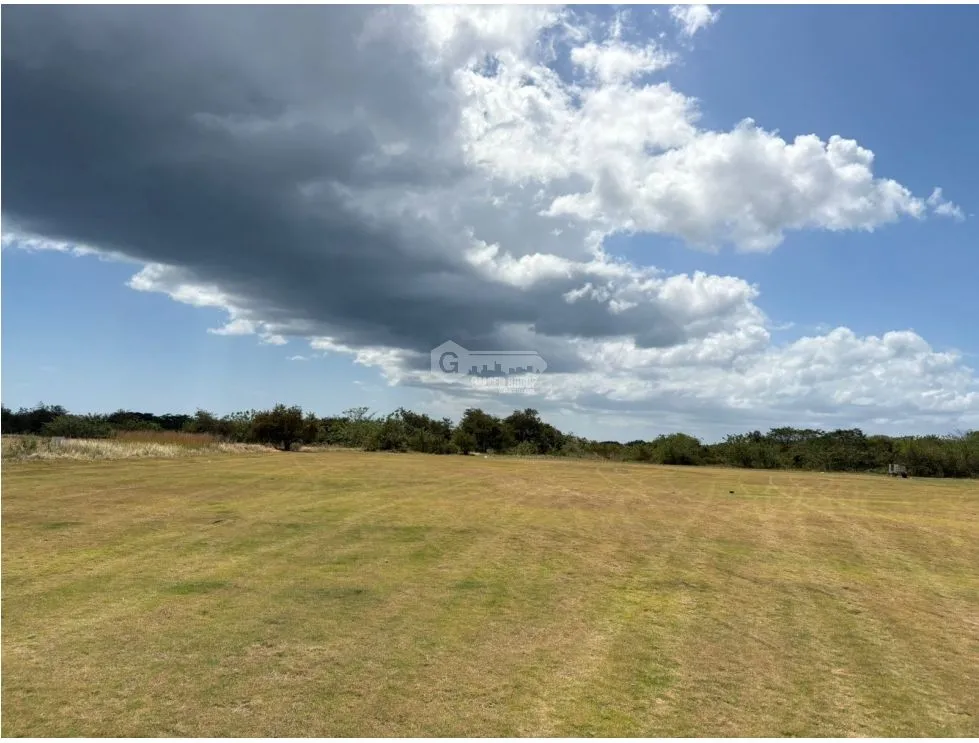 COCLE / RIO HATO / 110 HECTARES / ON MAIN ROAD / COMMERCIAL USE / AGRICULTURAL