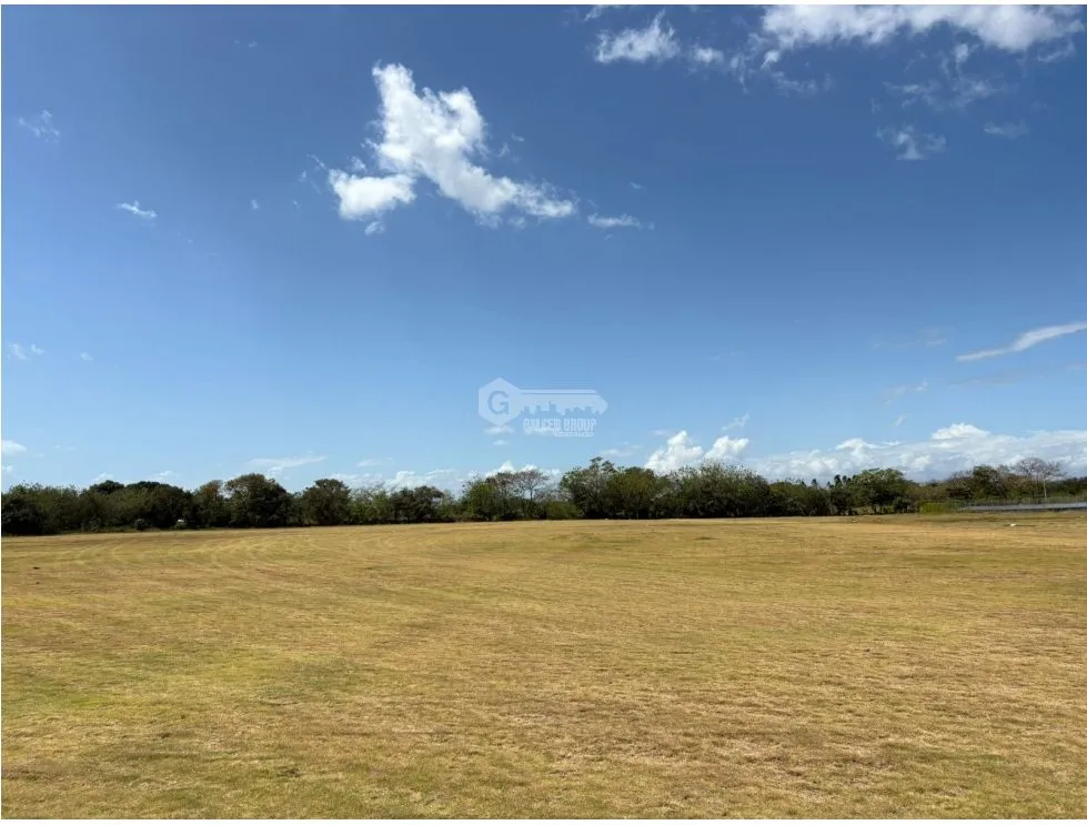COCLE / RIO HATO / 110 HECTARES / ON MAIN ROAD / COMMERCIAL USE / AGRICULTURAL