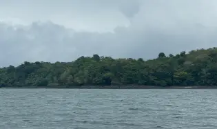 Private 100-Hectare Island Property for Sale on Isla Gobernadora, Veraguas, Panama