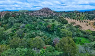 55.74 Hectares of Paradise in the Mountains