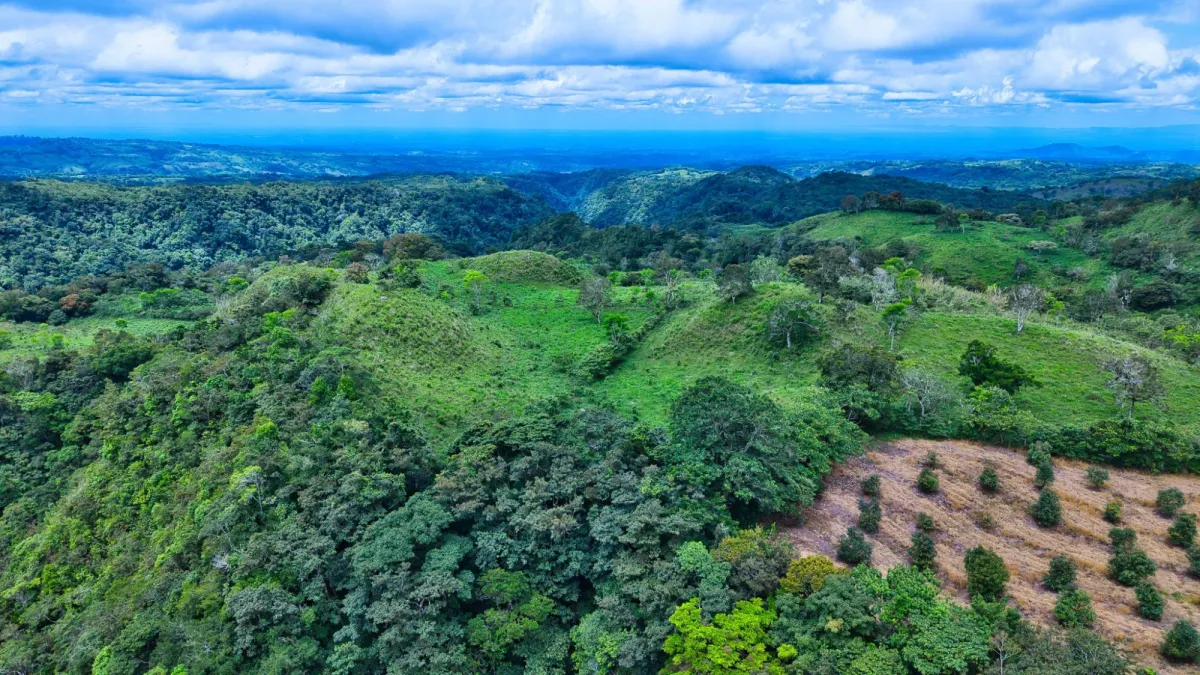 55.74 Hectares of Paradise in the Mountains