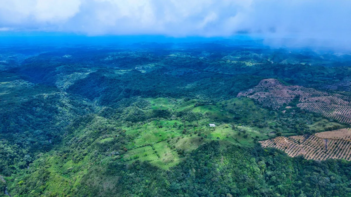 55.74 Hectares of Paradise in the Mountains