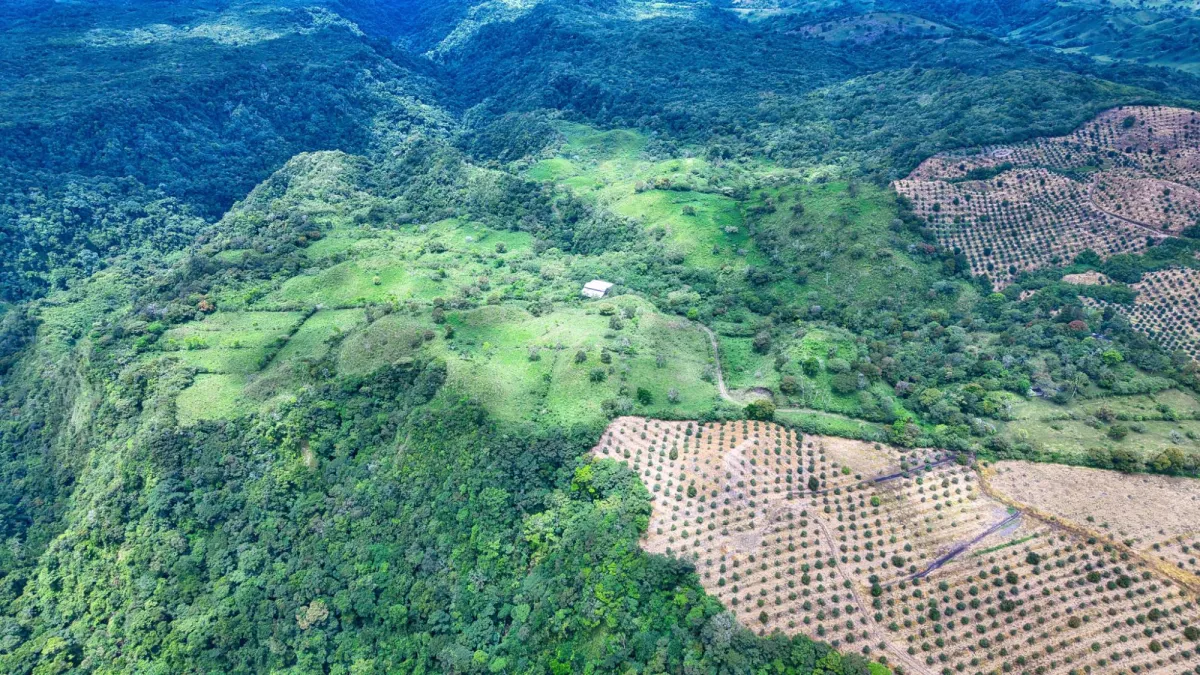 55.74 Hectares of Paradise in the Mountains
