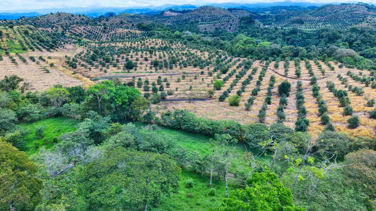 55.74 Hectares of Paradise in the Mountains