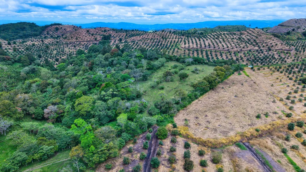 55.74 Hectares of Paradise in the Mountains