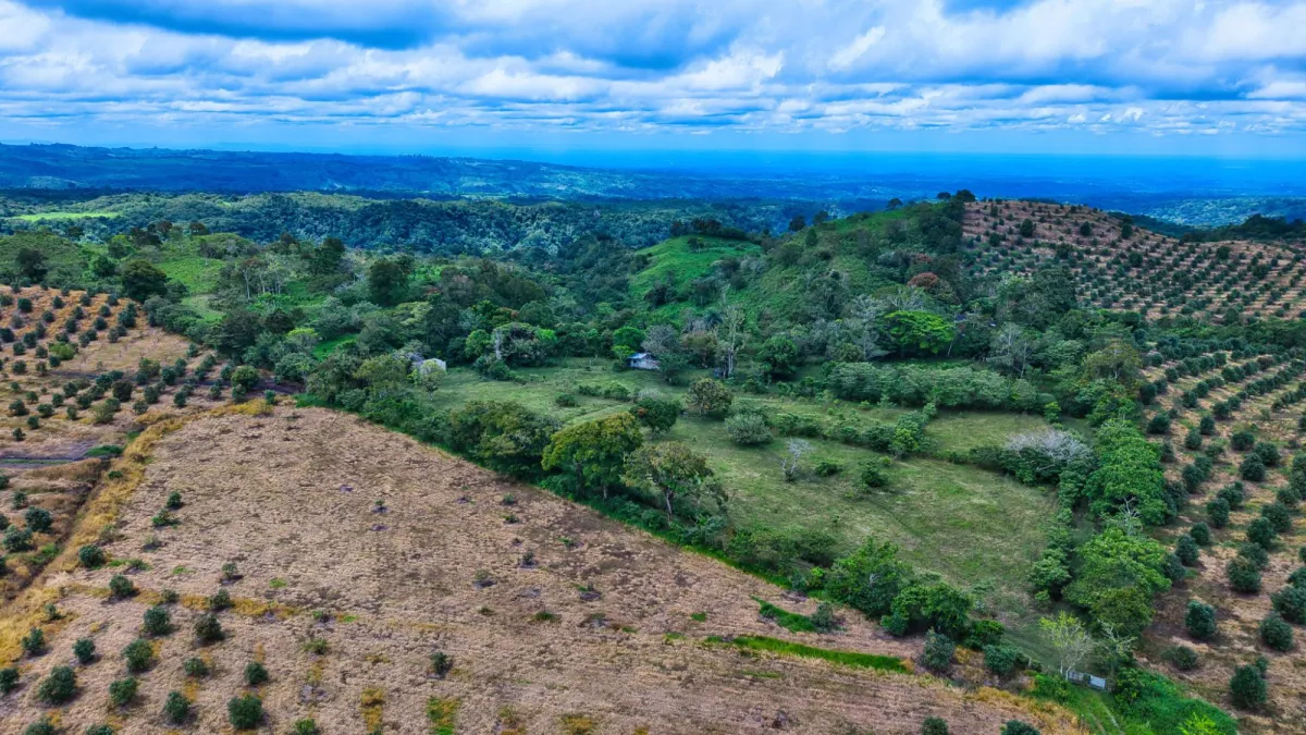 55.74 Hectares of Paradise in the Mountains
