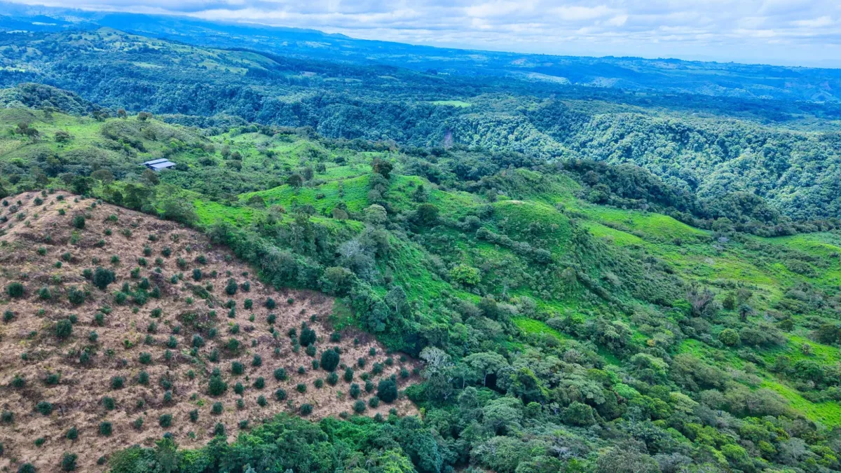 55.74 Hectares of Paradise in the Mountains