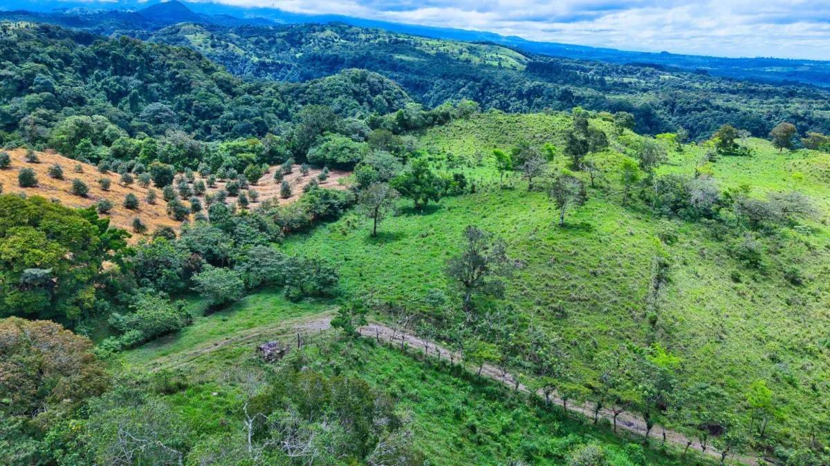 55.74 Hectares of Paradise in the Mountains
