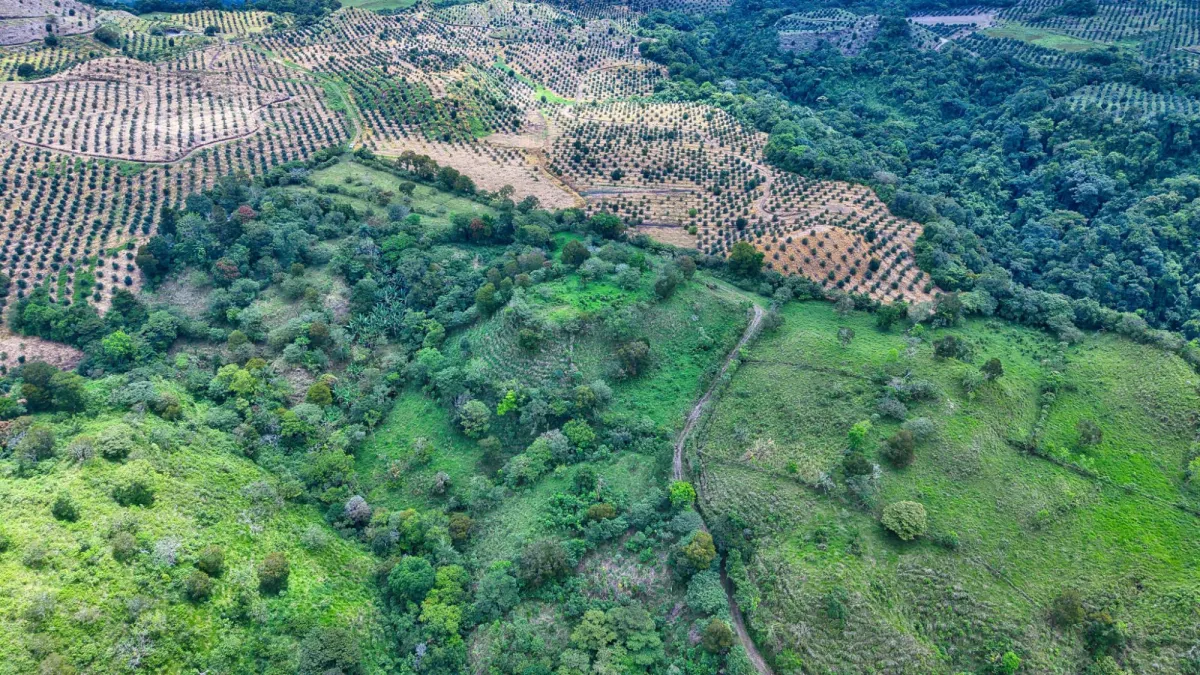 55.74 Hectares of Paradise in the Mountains