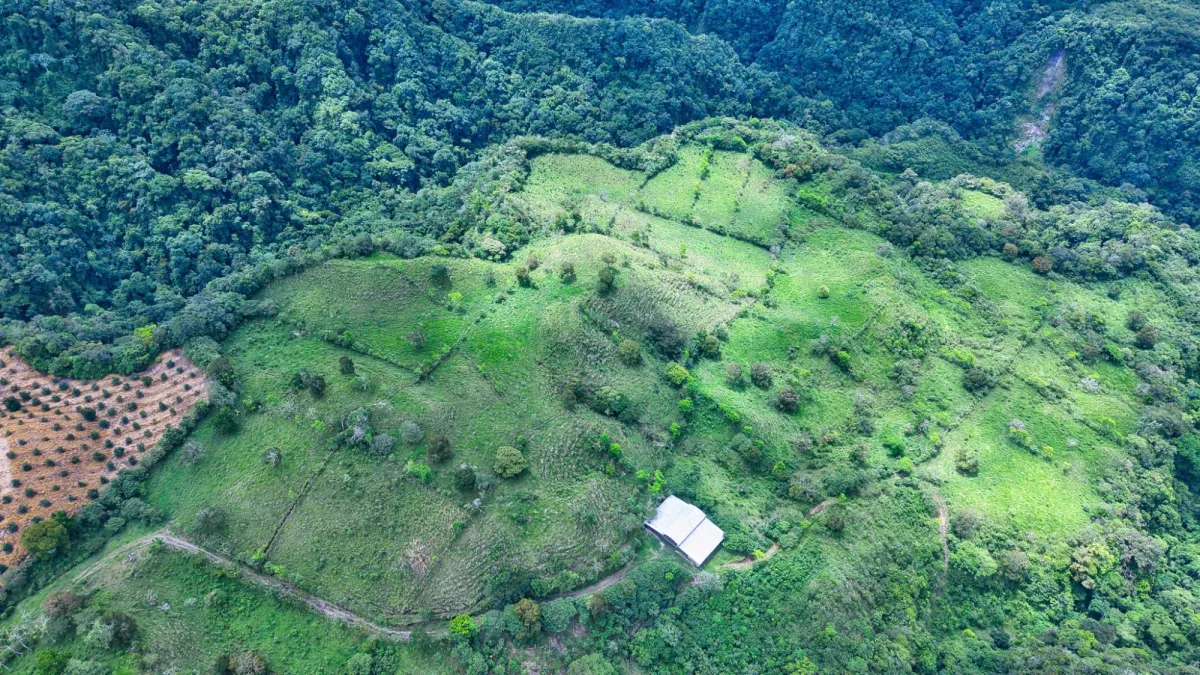 55.74 Hectares of Paradise in the Mountains
