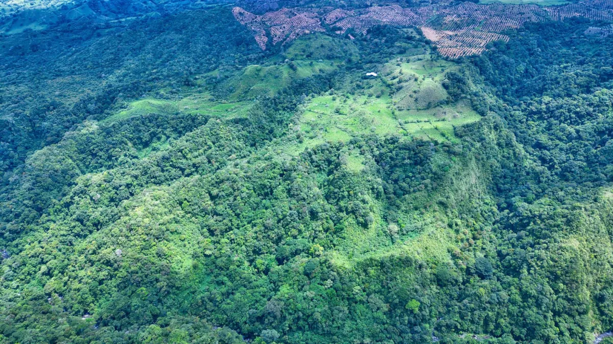 55.74 Hectares of Paradise in the Mountains