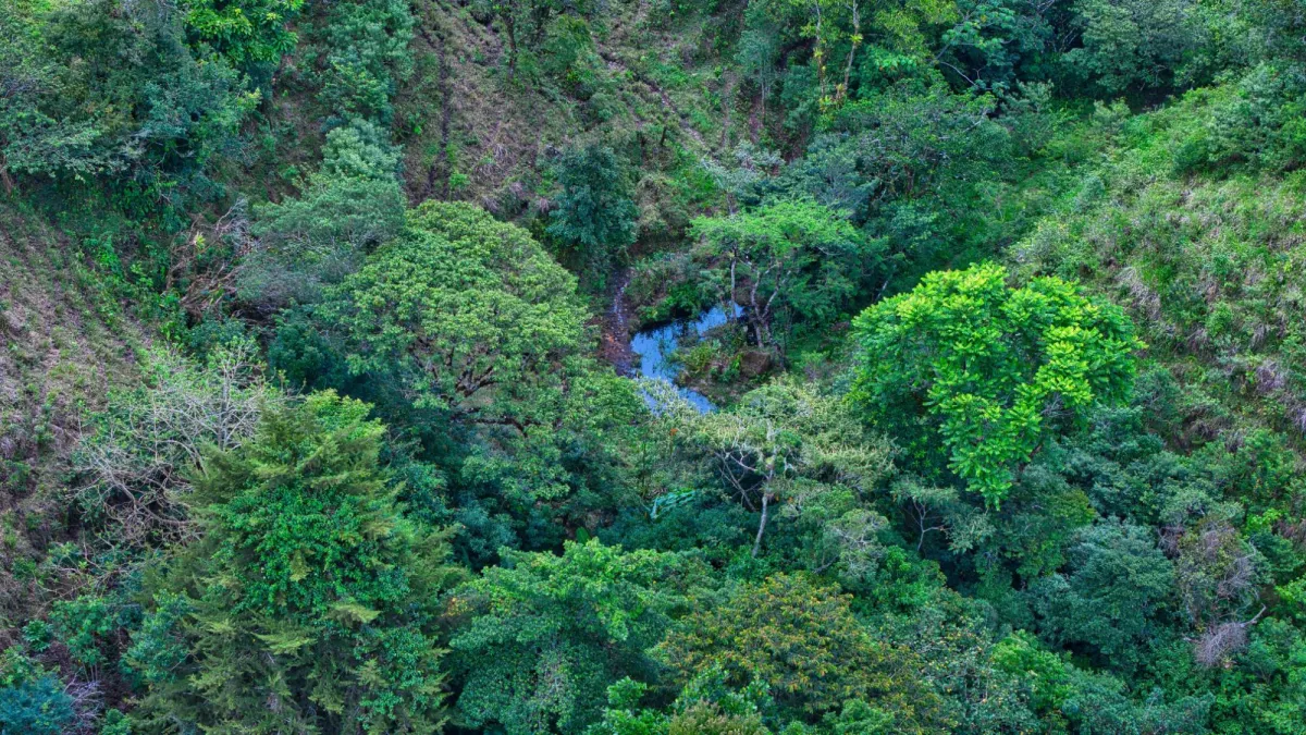 55.74 Hectares of Paradise in the Mountains