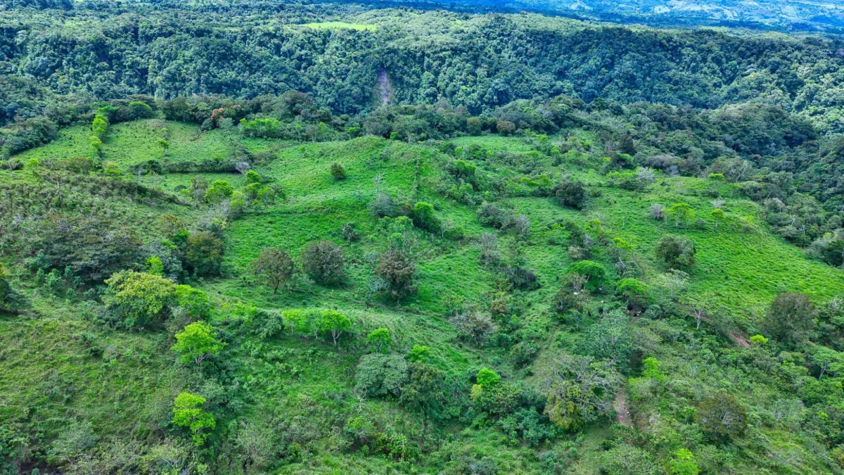 55.74 Hectares of Paradise in the Mountains