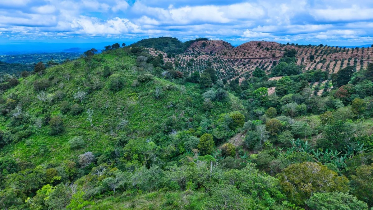 55.74 Hectares of Paradise in the Mountains