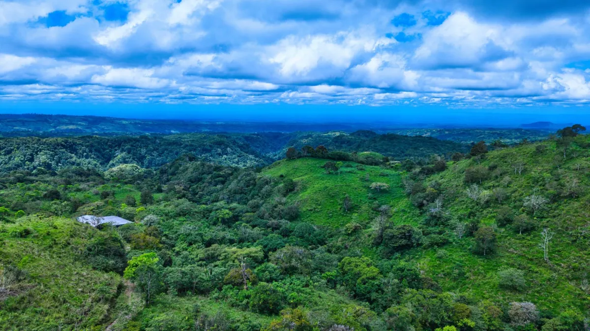 55.74 Hectares of Paradise in the Mountains