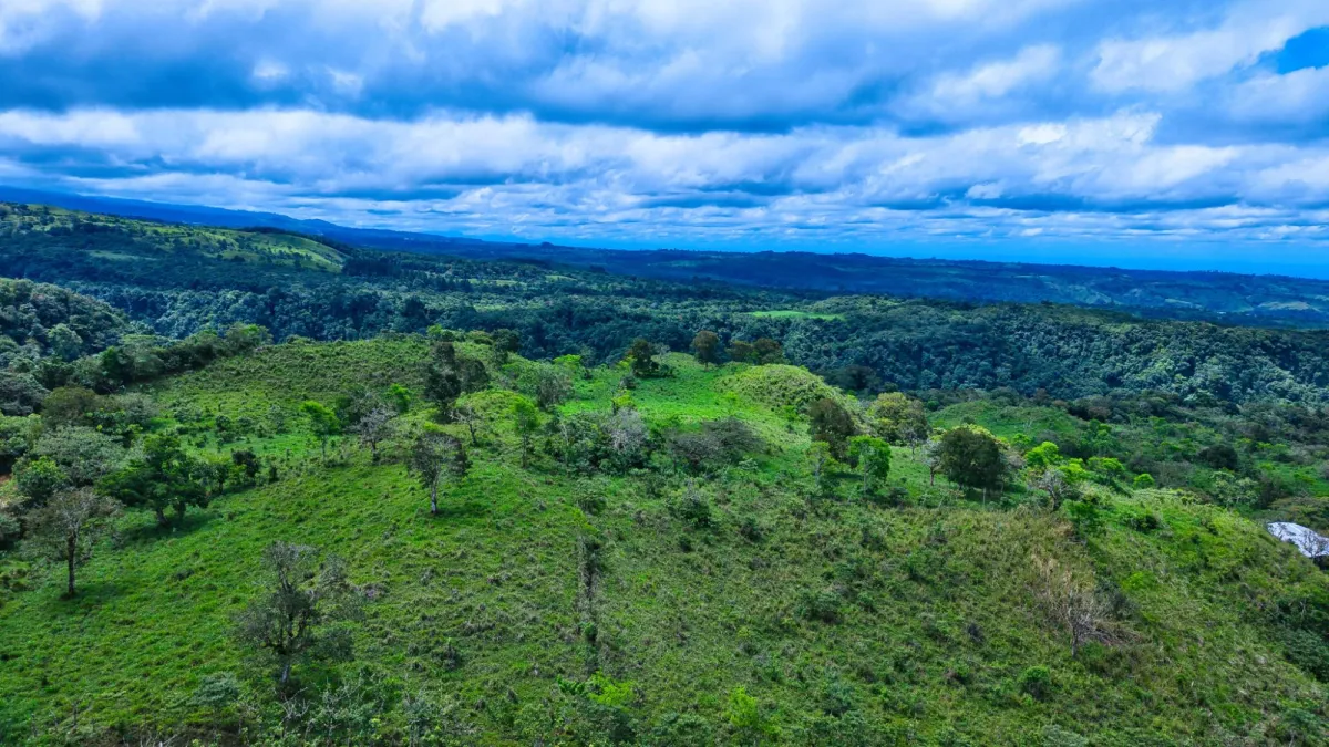55.74 Hectares of Paradise in the Mountains
