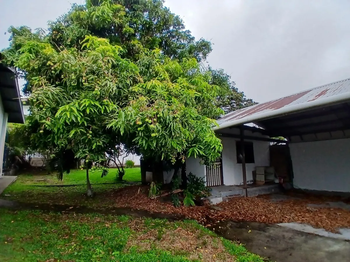 Furnished Income Home for Sale in Alto Boquete