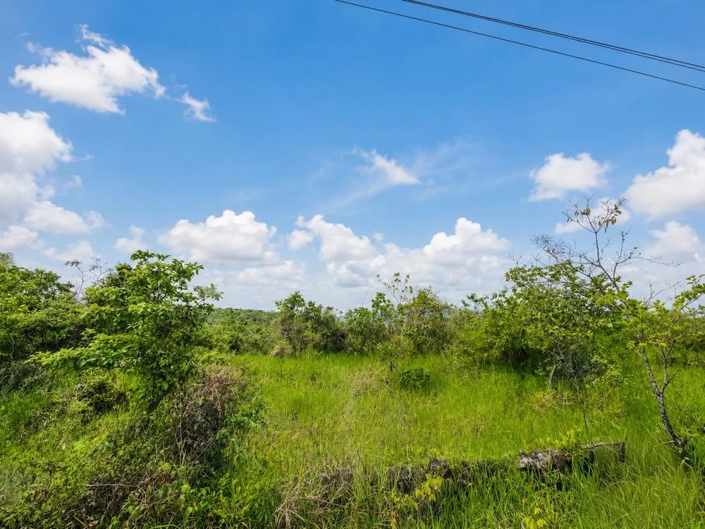 Se vende Terreno de 1 Hectárea con Vistas a la Montaña en Caldera