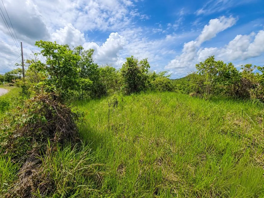 Se vende Terreno de 1 Hectárea con Vistas a la Montaña en Caldera