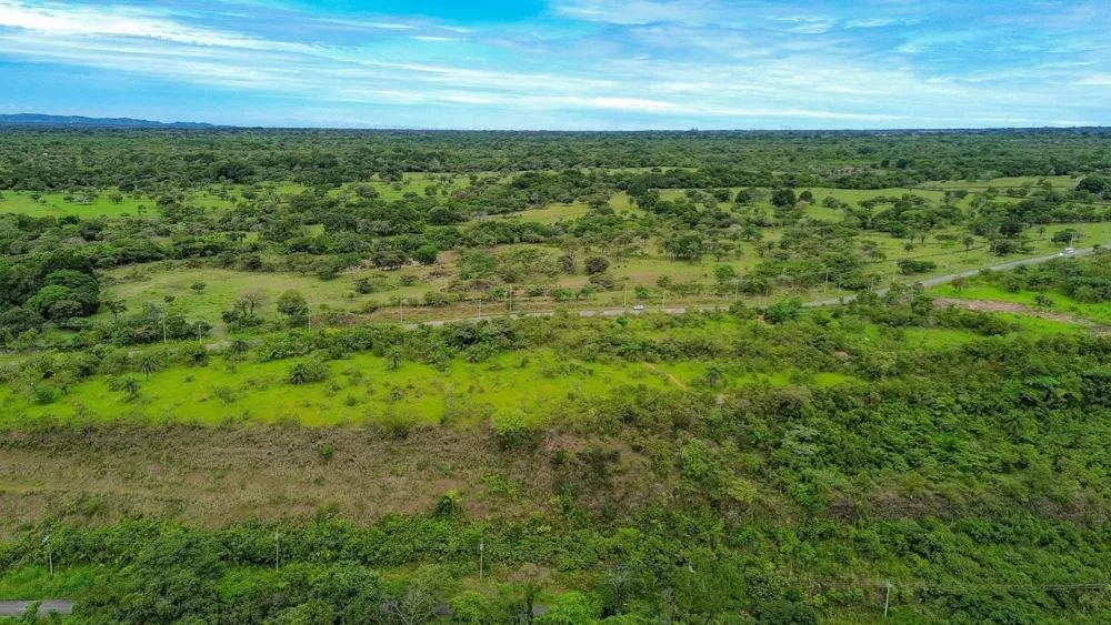 Se vende Terreno de 1 Hectárea con Vistas a la Montaña en Caldera