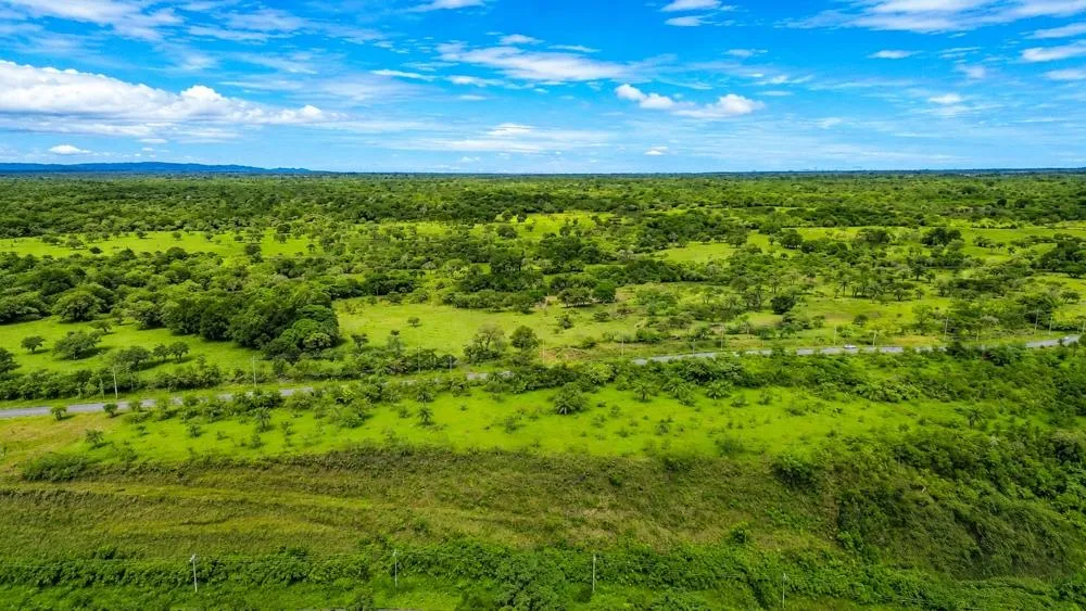 Se vende Terreno de 1 Hectárea con Vistas a la Montaña en Caldera