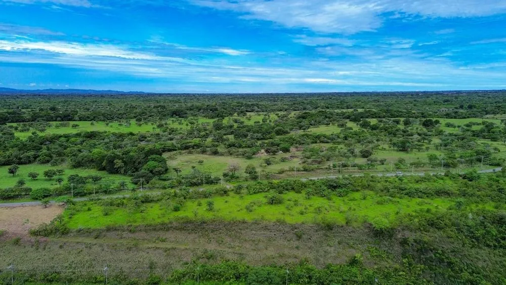 Se vende Terreno de 1 Hectárea con Vistas a la Montaña en Caldera