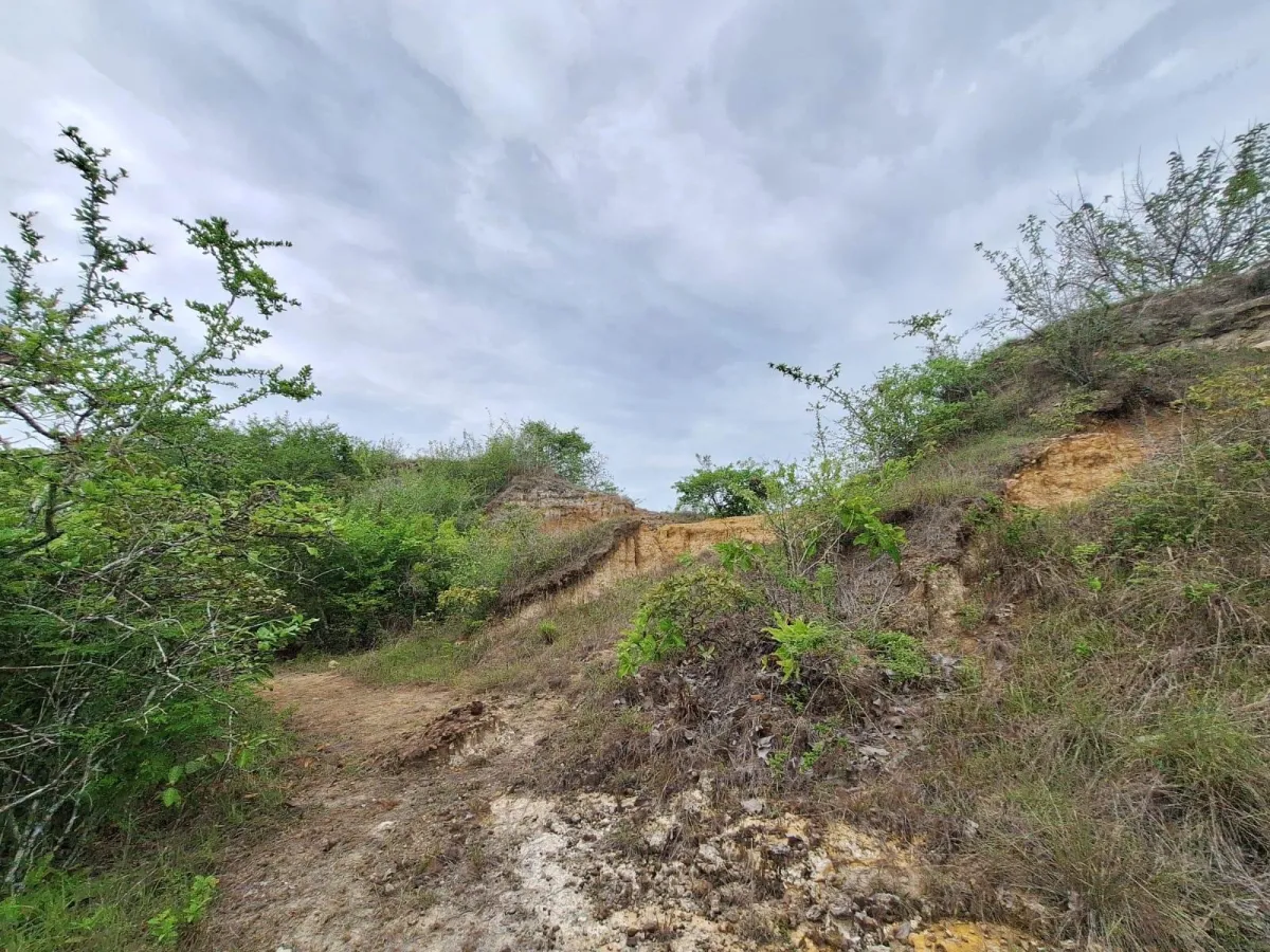 Finca en area de playa Piedras Gordas al mejor precio