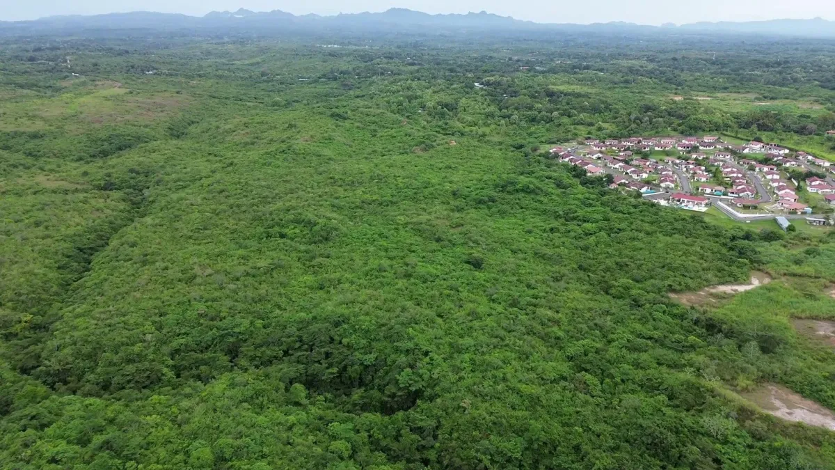Finca en area de playa Piedras Gordas al mejor precio