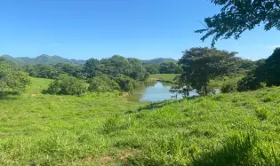 Terre / Ferme à Sona à vendre
