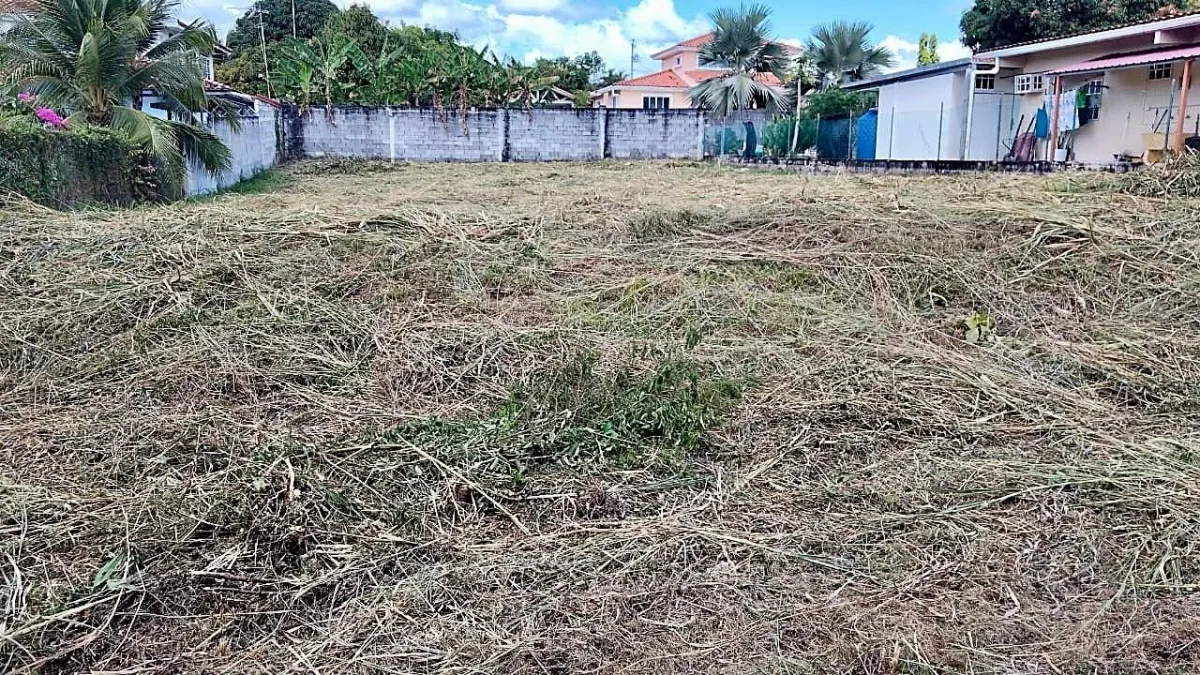 Land in Coronado, Los Bosques