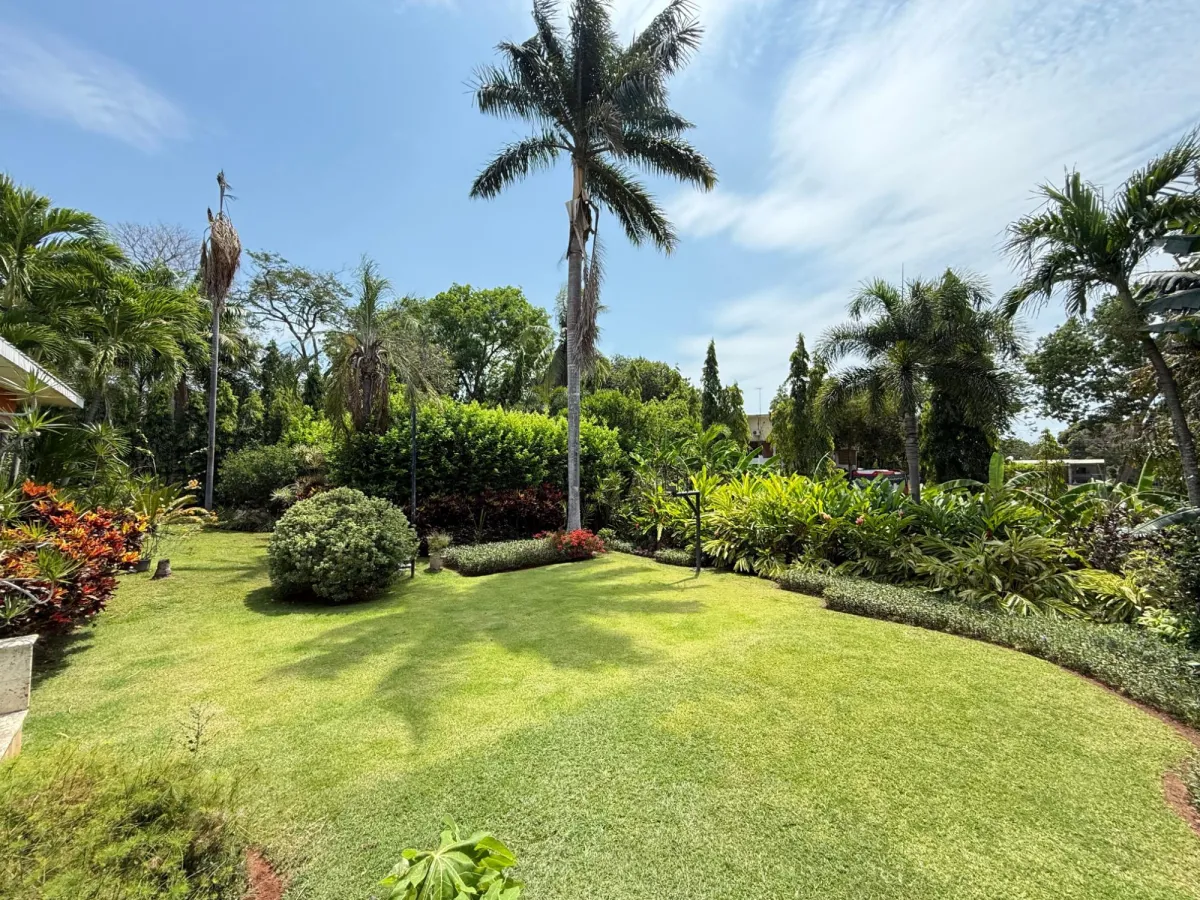 Spectacular House in Chitré