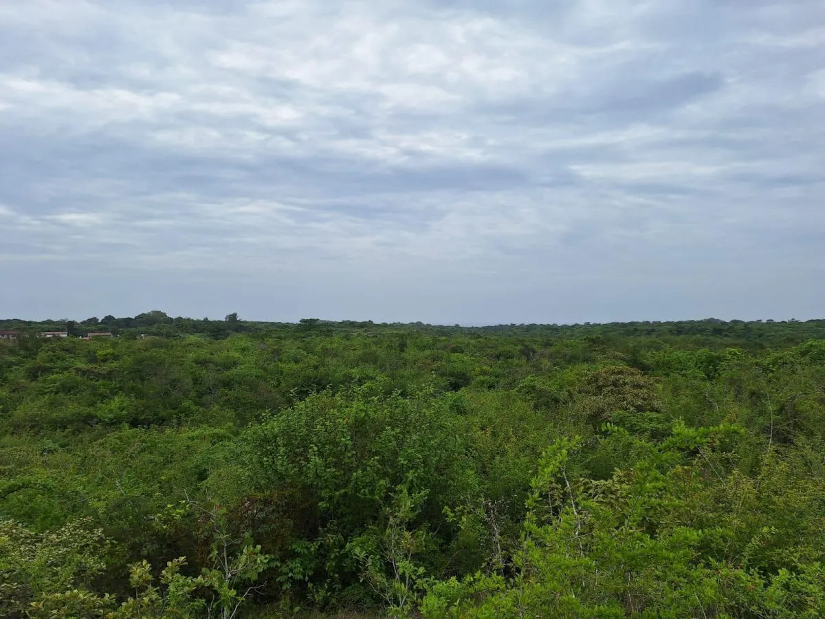 Finca en area de playa Piedras Gordas al mejor precio