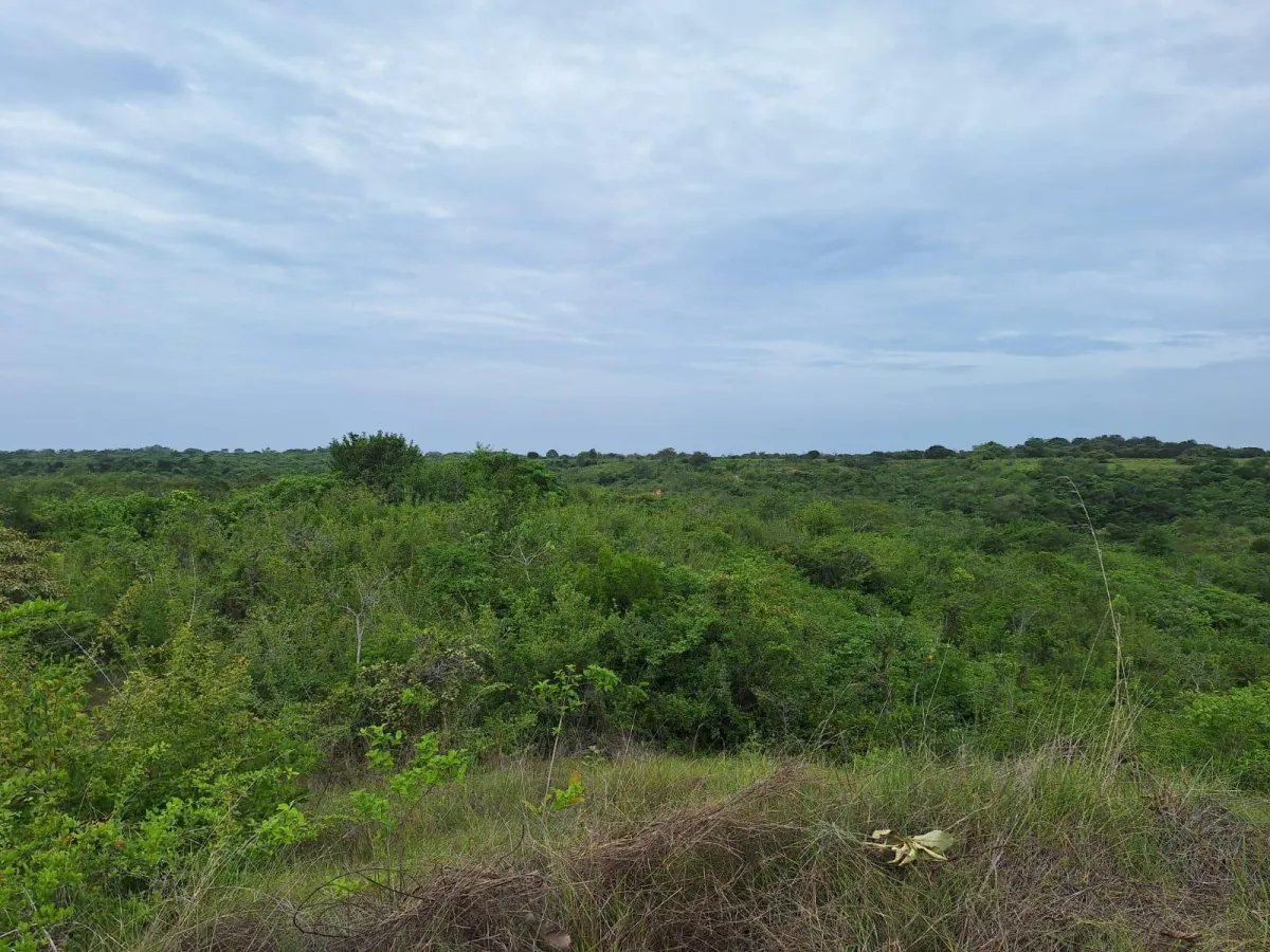 Finca en area de playa Piedras Gordas al mejor precio