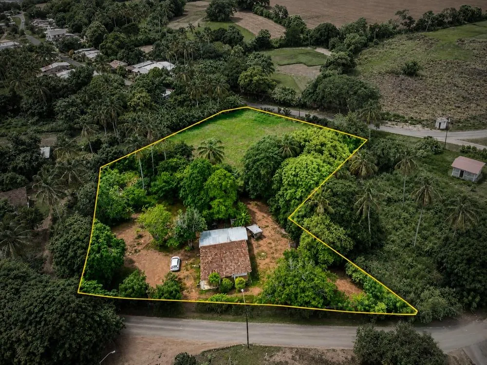 Quincha Home on 5,850 m² Land for sale in Pocri