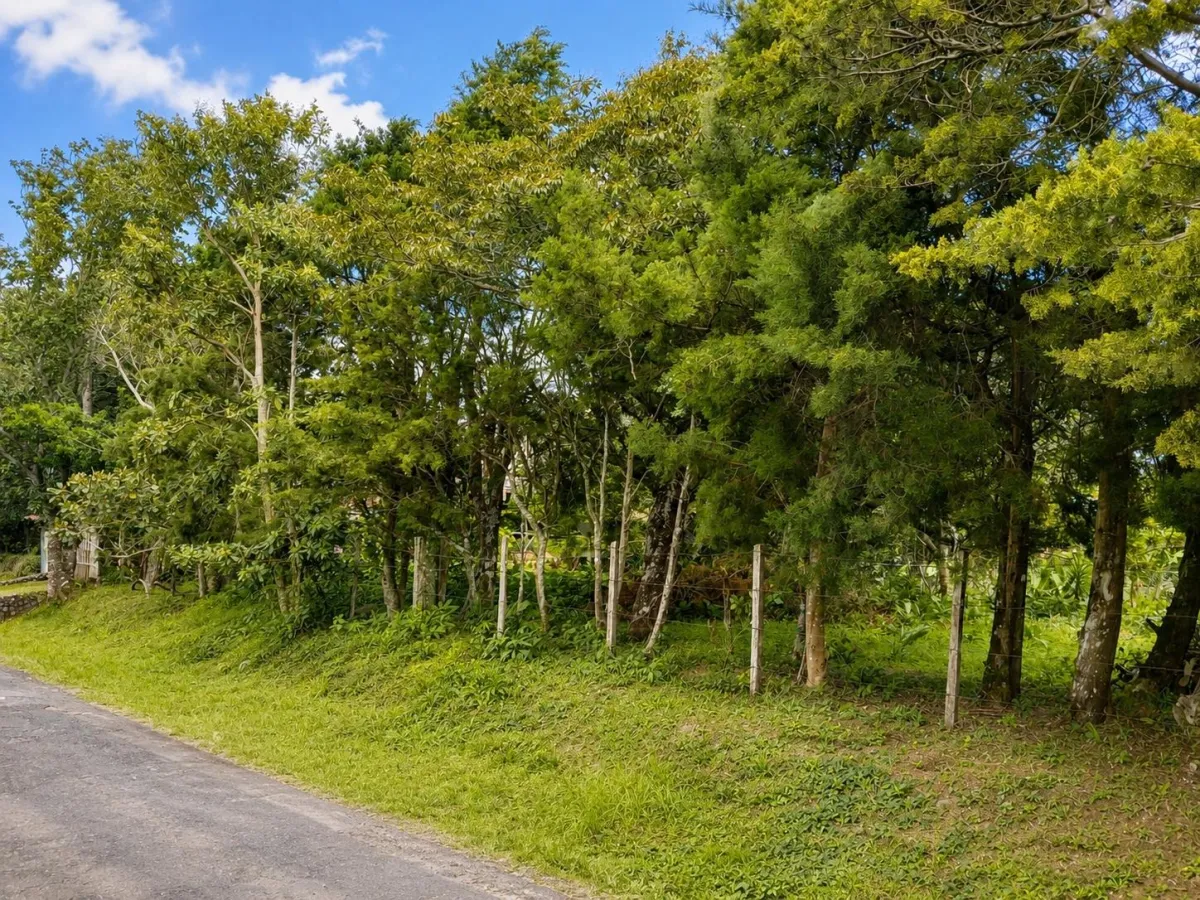 Corner Lot for Sale in Alto Boquete, Chiriqui