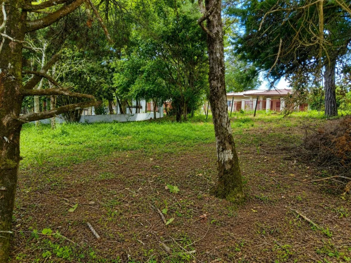Corner Lot for Sale in Alto Boquete, Chiriqui