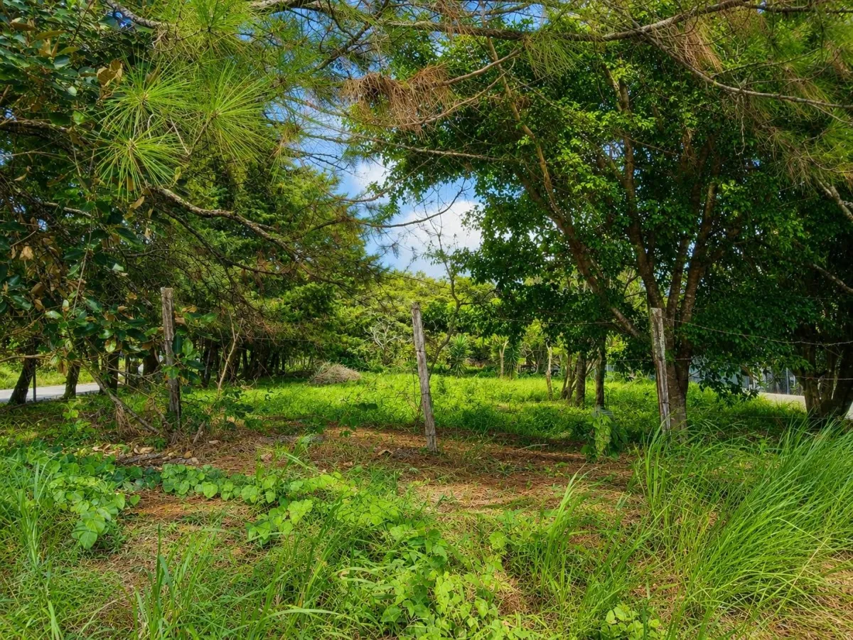 Corner Lot for Sale in Alto Boquete, Chiriqui