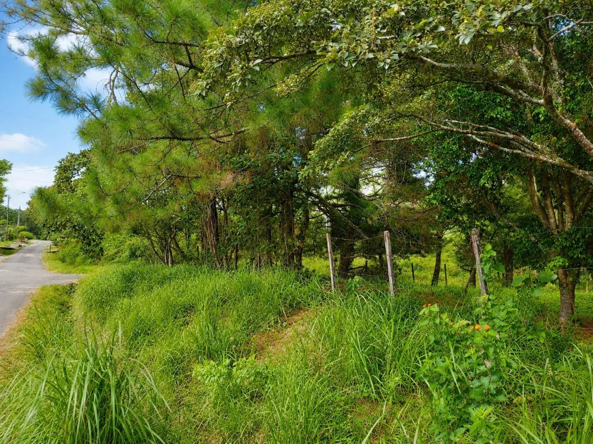 Corner Lot for Sale in Alto Boquete, Chiriqui