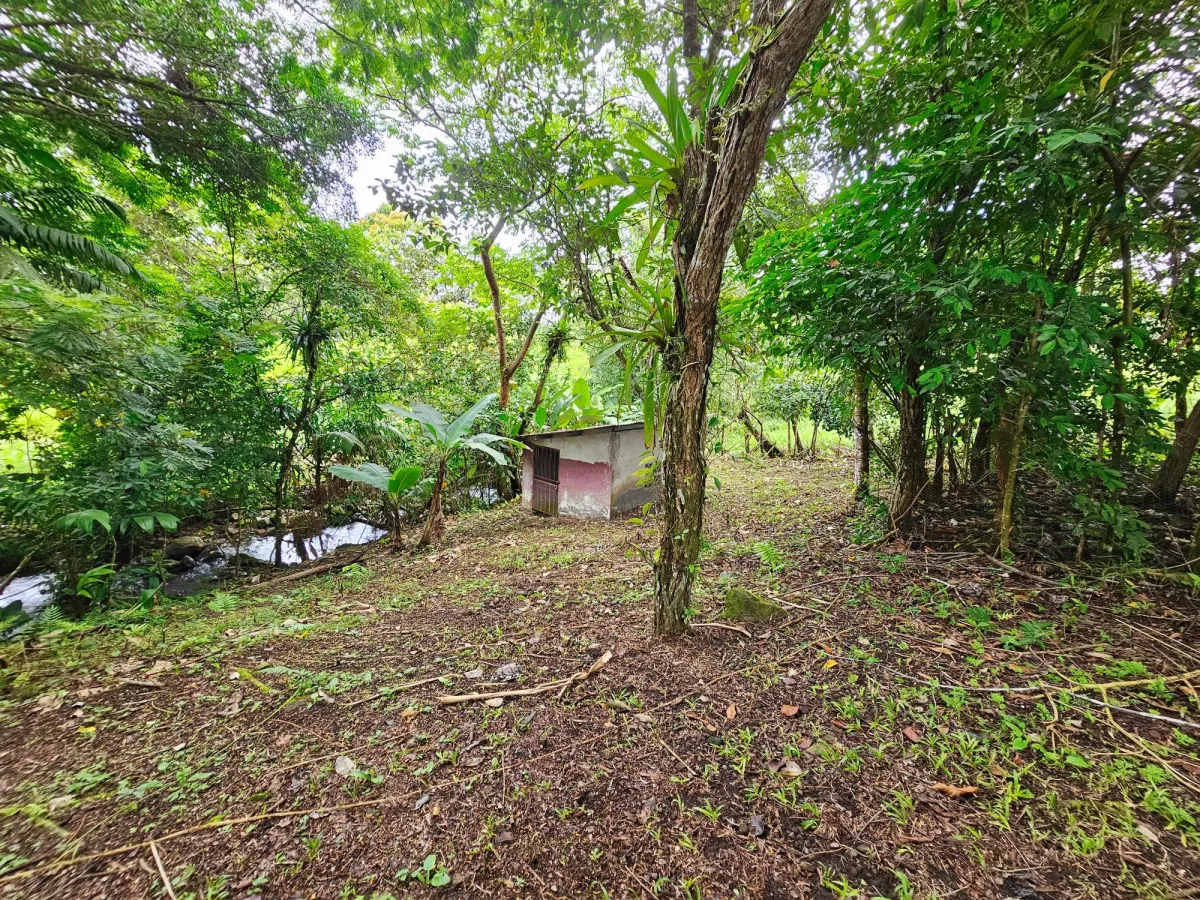 Country House in a Unique Natural Setting