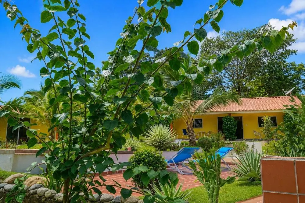 Turnkey Property with Main House & 6 Studios