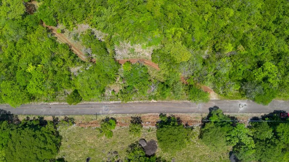 Spacious 59,086 m² Land in Síndigo, Caldera