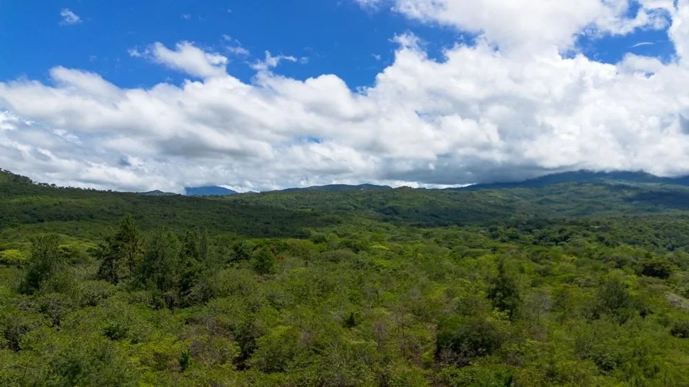 Spacious 59,086 m² Land in Síndigo, Caldera