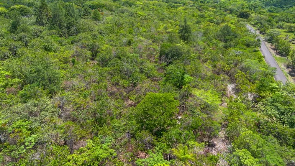 Spacious 59,086 m² Land in Síndigo, Caldera
