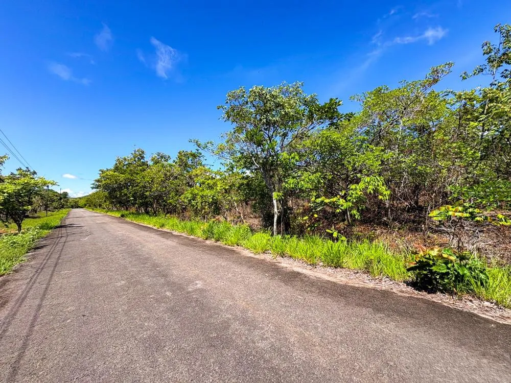 Spacious 59,086 m² Land in Síndigo, Caldera
