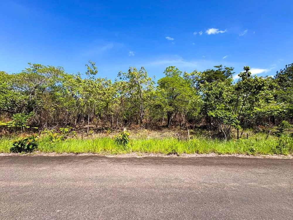 Spacious 59,086 m² Land in Síndigo, Caldera