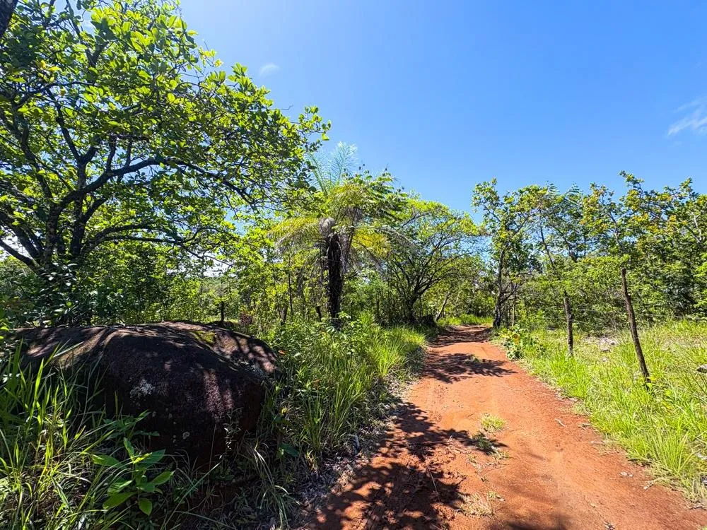 Spacious 59,086 m² Land in Síndigo, Caldera