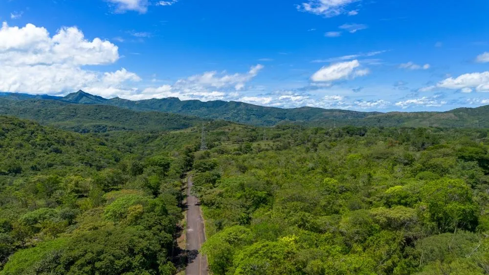 Spacious 59,086 m² Land in Síndigo, Caldera