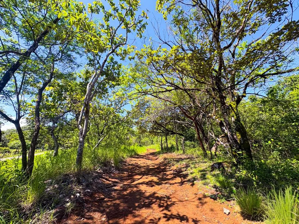 Spacious 59,086 m² Land in Síndigo, Caldera